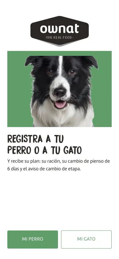 Pantalla de una demo de comida para mascotas: registra a tu perro o a tu gato.